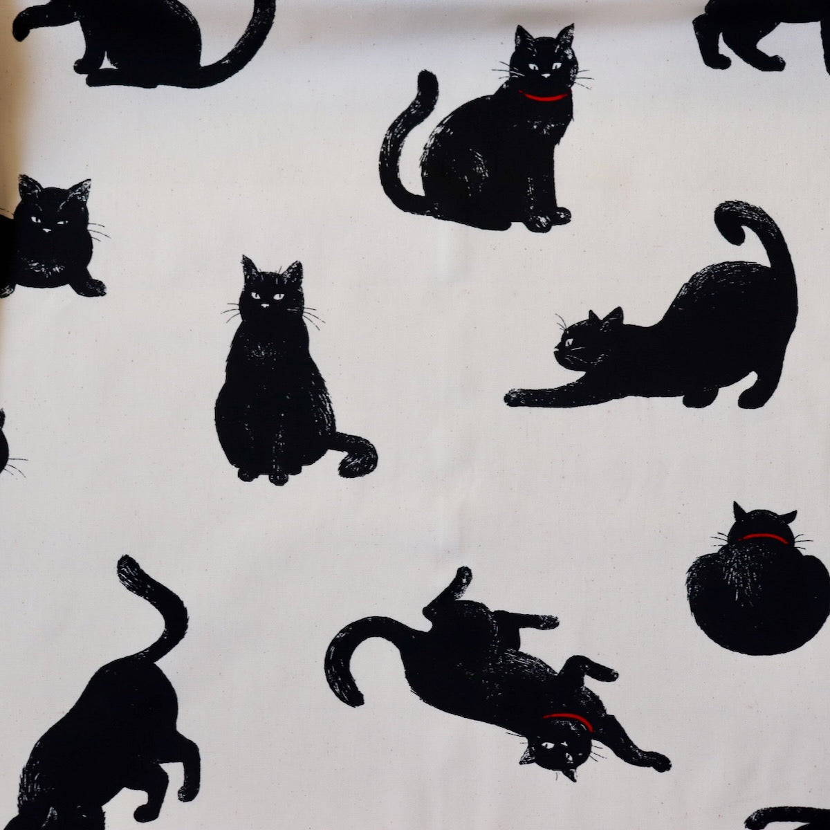 Black Cat Japanese Cotton — Natural
