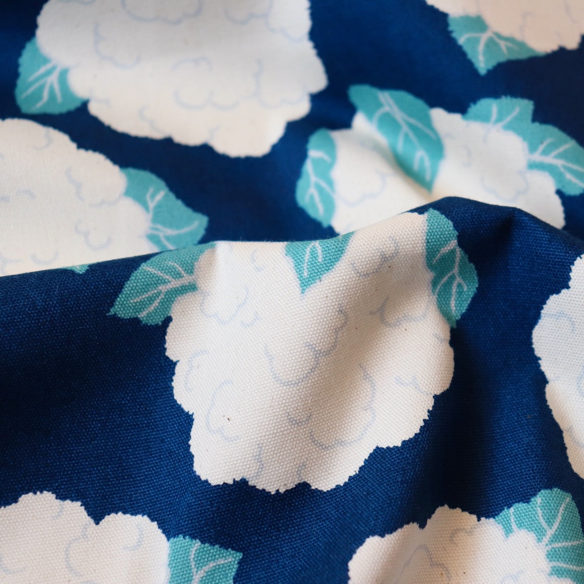 Cauliflower Cotton Oxford