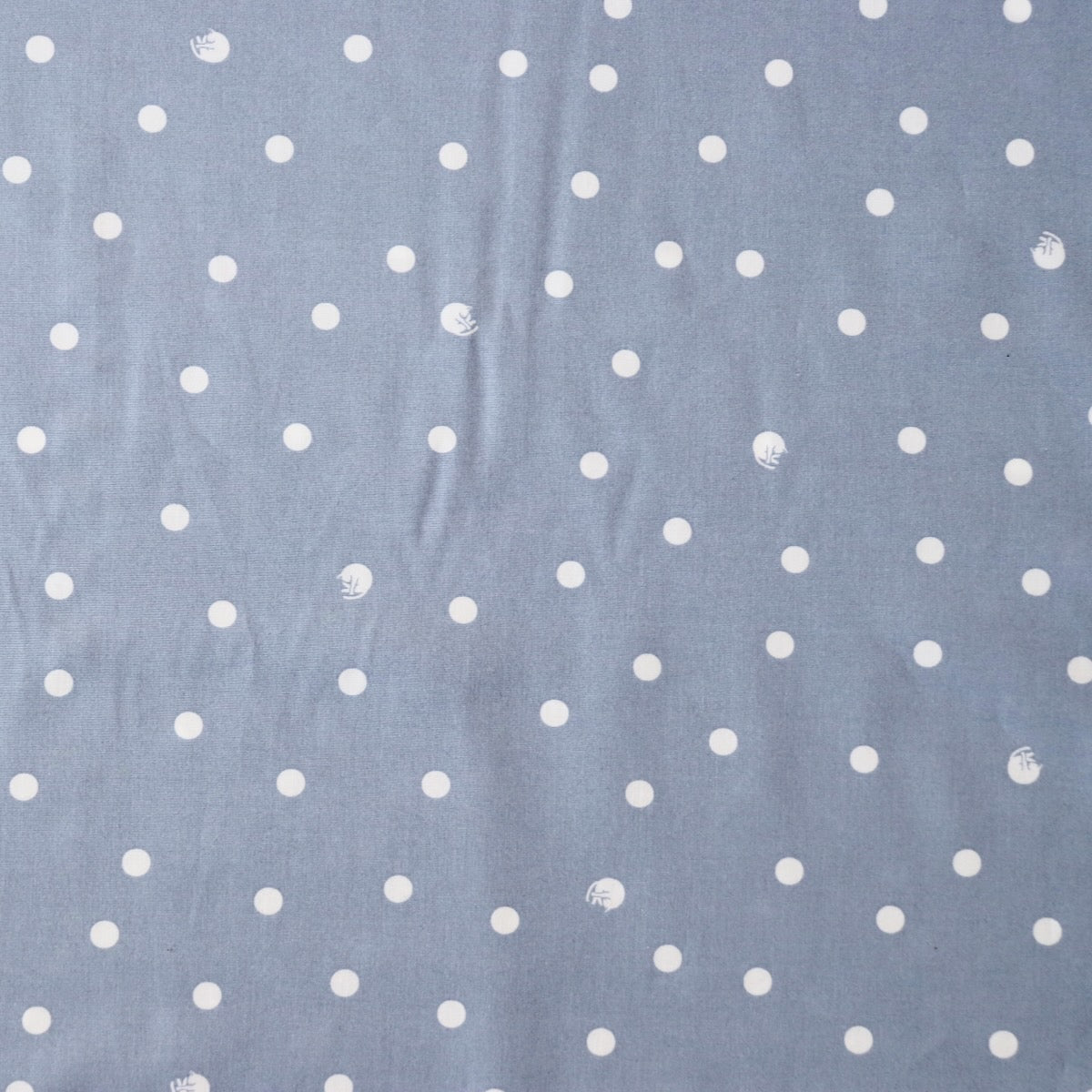 Swatch — Polka Dot Cat Japanese Cotton — Pale Blue